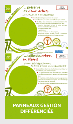 GESTION