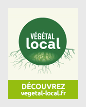 Vignette_VEGETAL_LOCAL