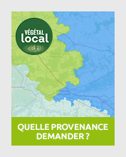 Vignette_VEGETAL_PROVENANCE