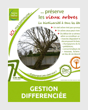 gestion